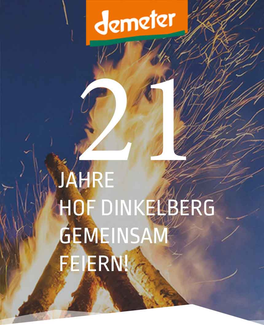 Titelbild 21.Jubilaeum Hof Dinkelberg Feuer vor Nachthimmel mobile